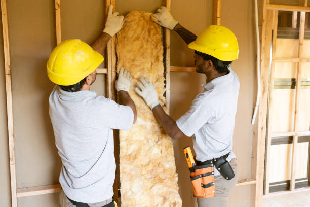 Best Insulation Inspection Services  in Midland, TX